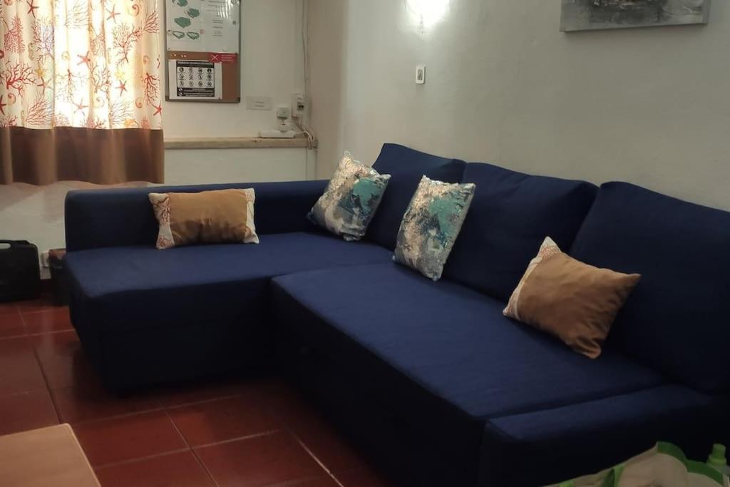 Apartment Cadete House